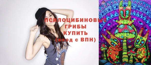 ПСИЛОЦИБИНОВЫЕ ГРИБЫ Беломорск