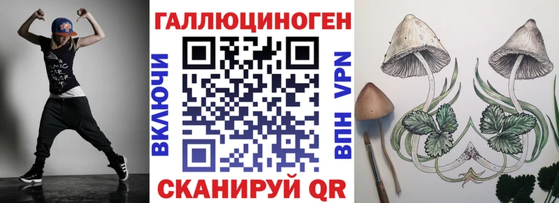Купить где  Баксан  Псилоцибиновые грибы мицелий 